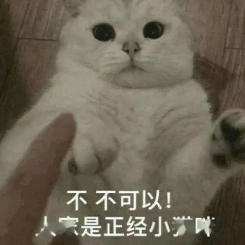 绝了只用一盒彩铅笔,做猫狗双全的人生赢家云吸萌宠的正确打开方式
