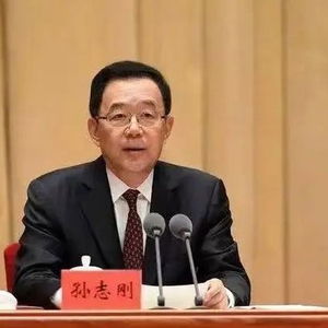 下属被逮捕第二天,70岁省委原书记被公诉