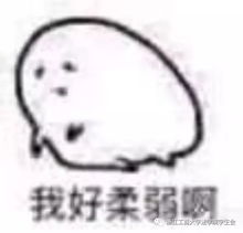 致生活丨每天都是小春日和