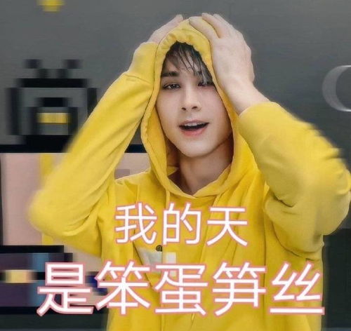 谢拉露妮丝表情包我不想