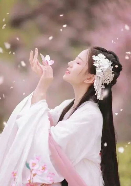 丐仙斗狐狸精