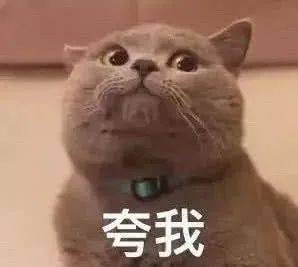 荣耀定档最强大脑再燃脑力战火,李诞王耀庆加盟观天梯对决