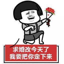 哄小仙女表情包小仙女我喜欢你喂小仙女在吗晚安小仙女