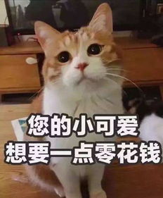 一个苦x男人的自白