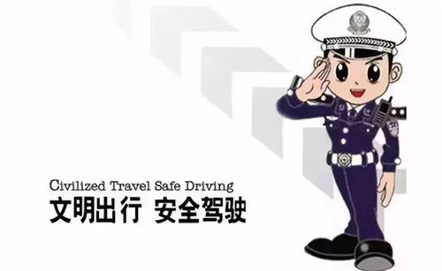 全省车主端午节出行提示在这,火速收藏