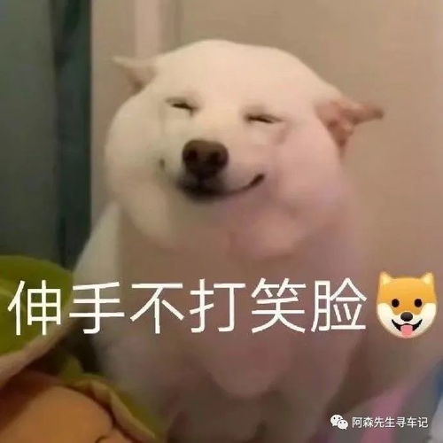 newdate如果传空值百度秒传使用教程电脑和安卓都能用