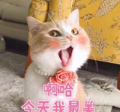 嫌弃的表情包搞笑表情