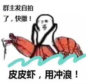 整个朋友圈都在骑皮皮虾它很累了你知道吗