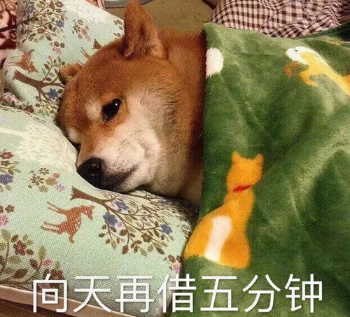 太闲酒业饺子与酒,冬至节气的标配