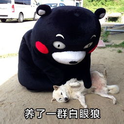 网络表情包20脂肪表情包