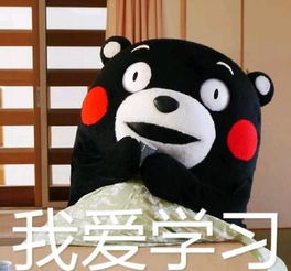 生涯规划师为啥能会成为一种热门原来高考学生也需要