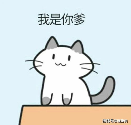 搞笑表情包图片猫狗老鼠和人