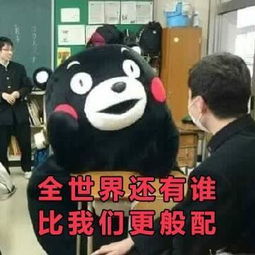 熊本熊,行走的表情包斗图必备