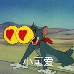图灵塔罗十二星座的神准运势太神奇了