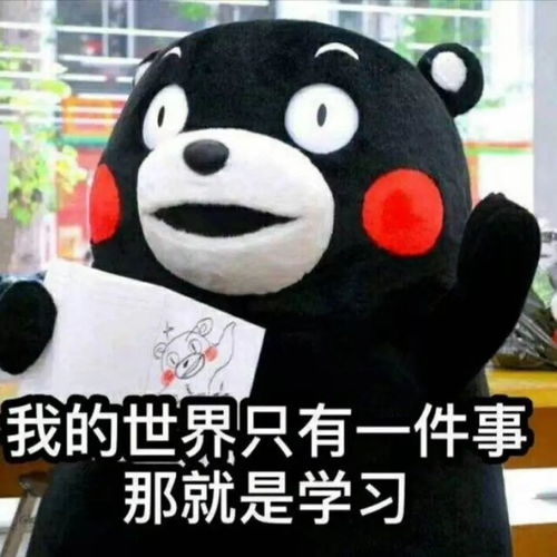 听说你的表情包库需要更新了元旦特辑