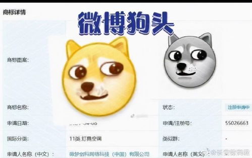 腾讯字节申请狗头商标被驳回商标被驳回的原因有哪些