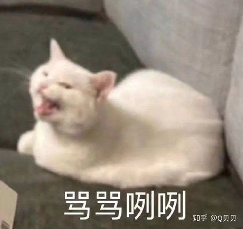 恐龙外套滑稽表情包沙雕