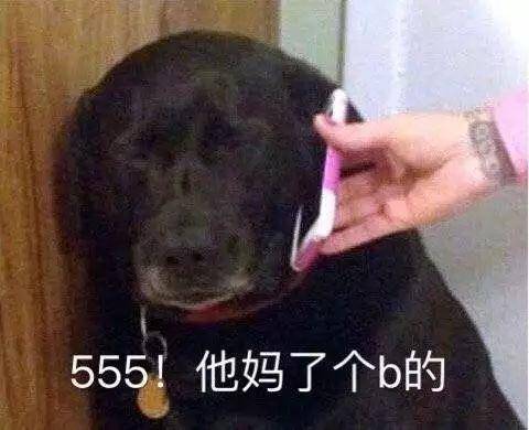 平凉斗图表情包沙雕