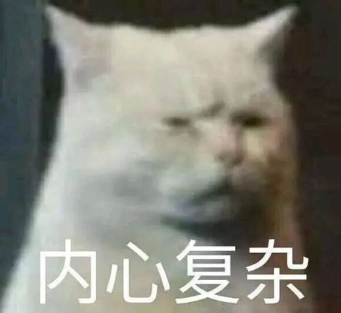 斗图必备表情包i舔狗的心到底谁懂