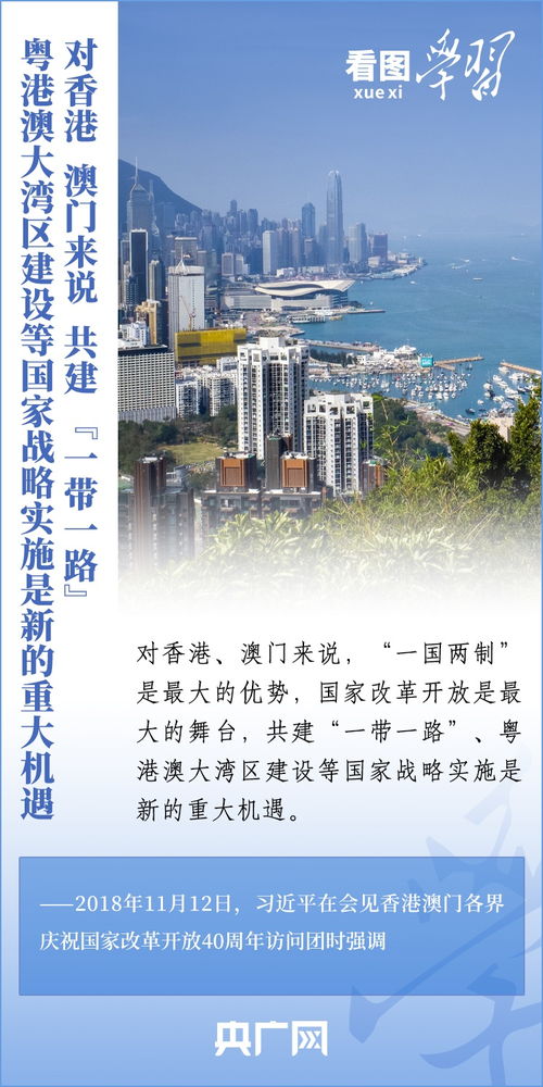 看图学习一点两地总书记引领推进粤港澳大湾区建设中央网络安全和信息化委员会办公室