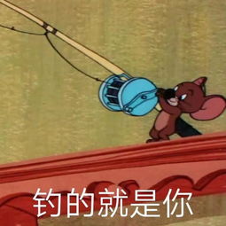 图灵塔罗十二星座的神准运势太神奇了