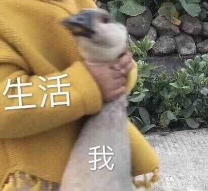 美国留学名校又涨学费,看看毕业几年才能赚回来