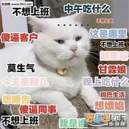人生不如意之事十之八九表情图片莫生气别生气的表情包下载乐游网游戏下载