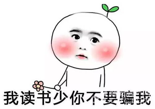 济南人熬过了八月份,2017年就要过完了