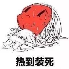 救命在上海热晕了,要李艺彤鞠婧祎黄婷婷扶我才能起来