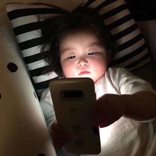 我的收藏