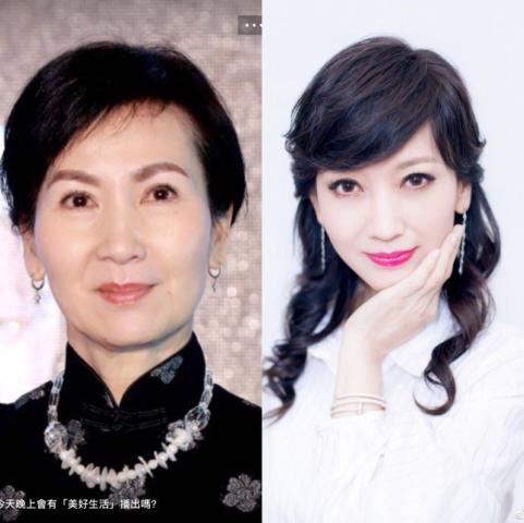 回归内地荧屏60岁小青陈美琪,依然美不过64岁捞金能手赵雅芝