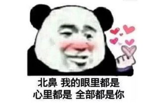 土味情话表情包老子看你也是单身,要不要老子做你男朋友啊
