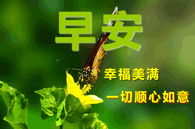 白天有你就有梦,夜晚有梦就有你,早上好