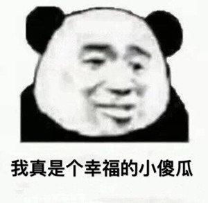 熊猫头表情包合集别看了,小心爱上我