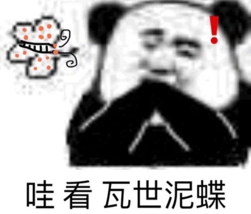熊猫头表情包我就要和你双排