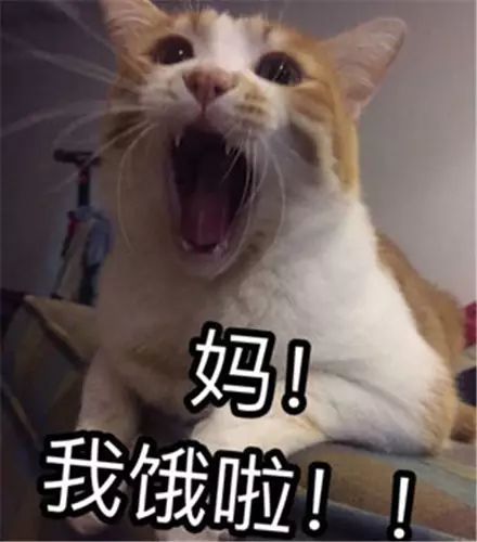 财大人暑假如何不被爸妈嫌弃