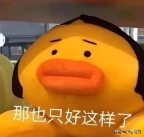 考研满分500分,然而400分无学可上盘点那些考研最卷最难的专业