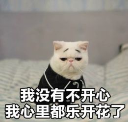 你们知道自己有半天假吗每日轻松一刻5月4日晚间版