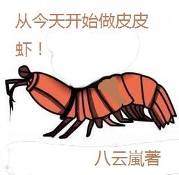 从今天开始做皮皮虾