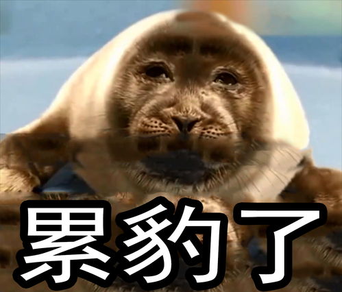海豹长了大叔脸厌世而丧萌的表情仿佛在说你们太过分了