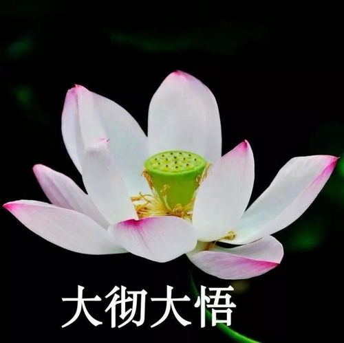 一家人头像快和相亲相爱全家人一起换