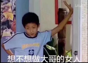 斗图表情包表情包多的人,没对象