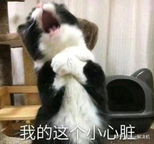 有什么冷门干净一点的交友平台推荐吗认真做交友的那种,不要烂大街的