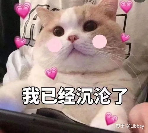 深圳大学读研的学长学姐,你们考深大的时候难度大吗