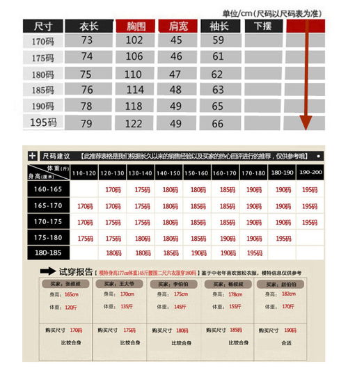 洋湖轩榭中年男士外套秋装爸爸夹克50中老年人60春秋款70岁爷爷上衣服装c