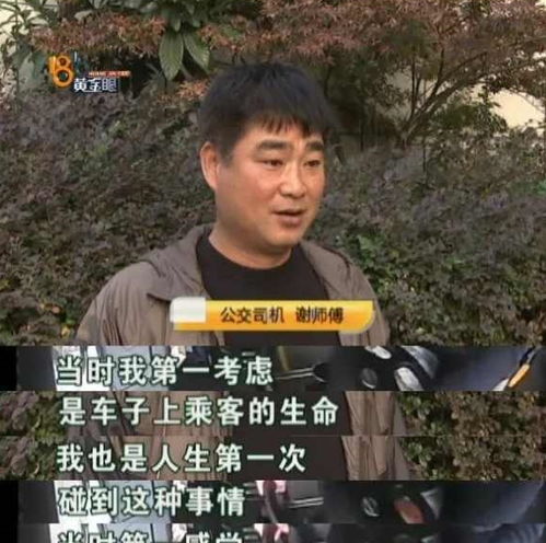 大妈不光坐霸王车,坐过站了还想争夺方向盘行拘8天