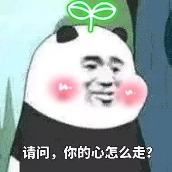 来人呐小象核心粉丝群,招人了