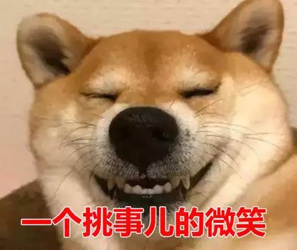 哔哩哔哩专栏
