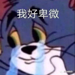 你的脸不用化妆,我却疯狂的爱上异性