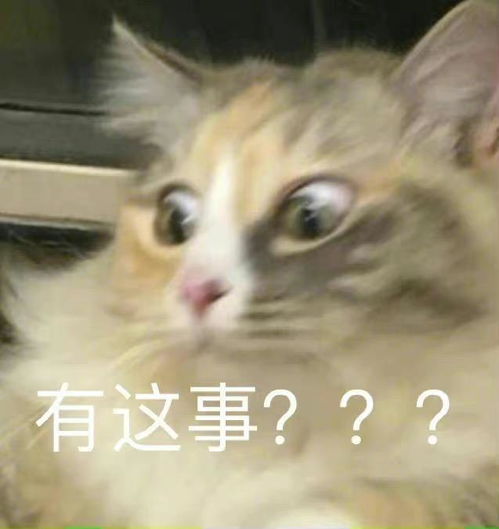 18gb1tb今年最能打的全面屏旗舰杀疯了